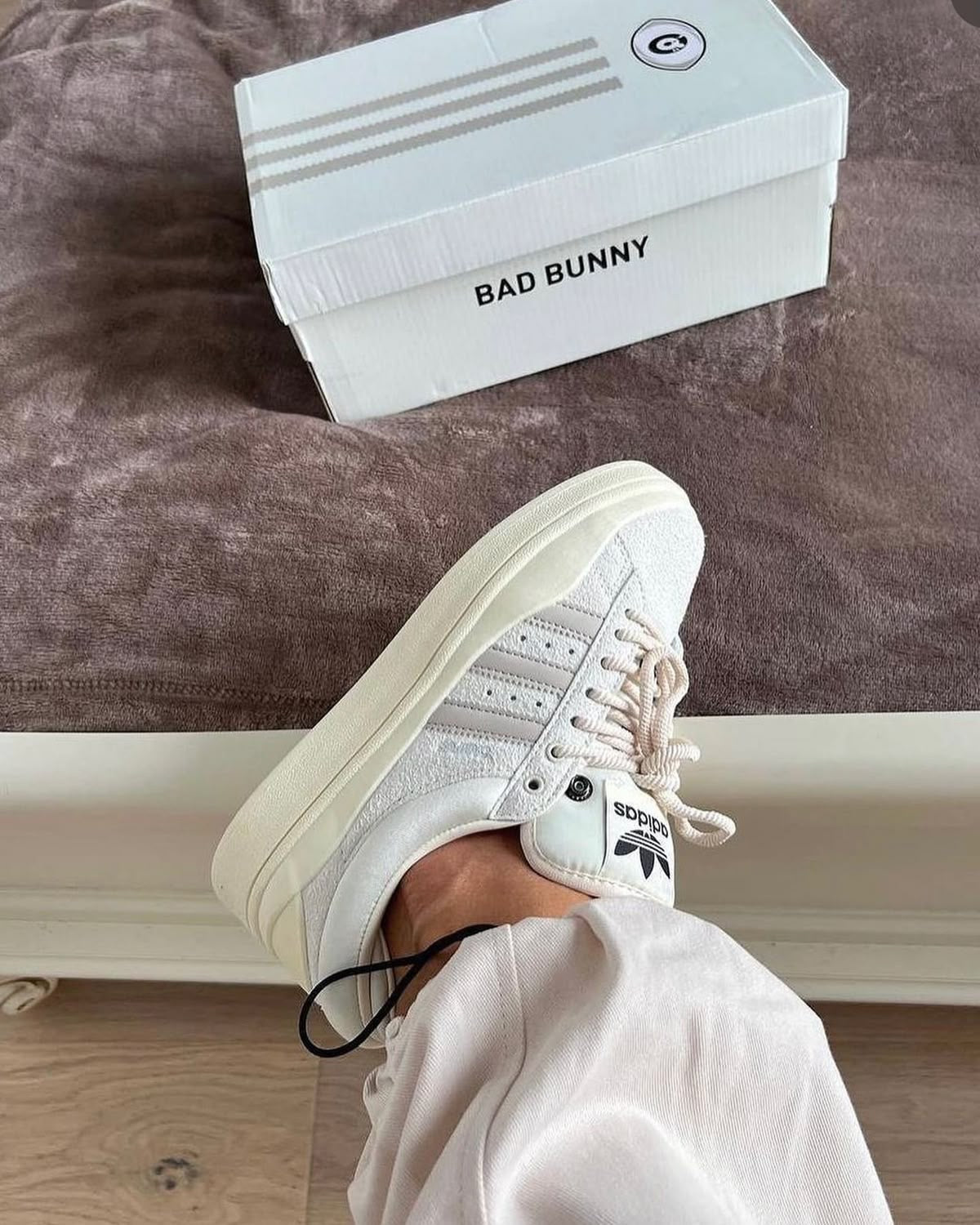Adidas x Bad Bunny Campus