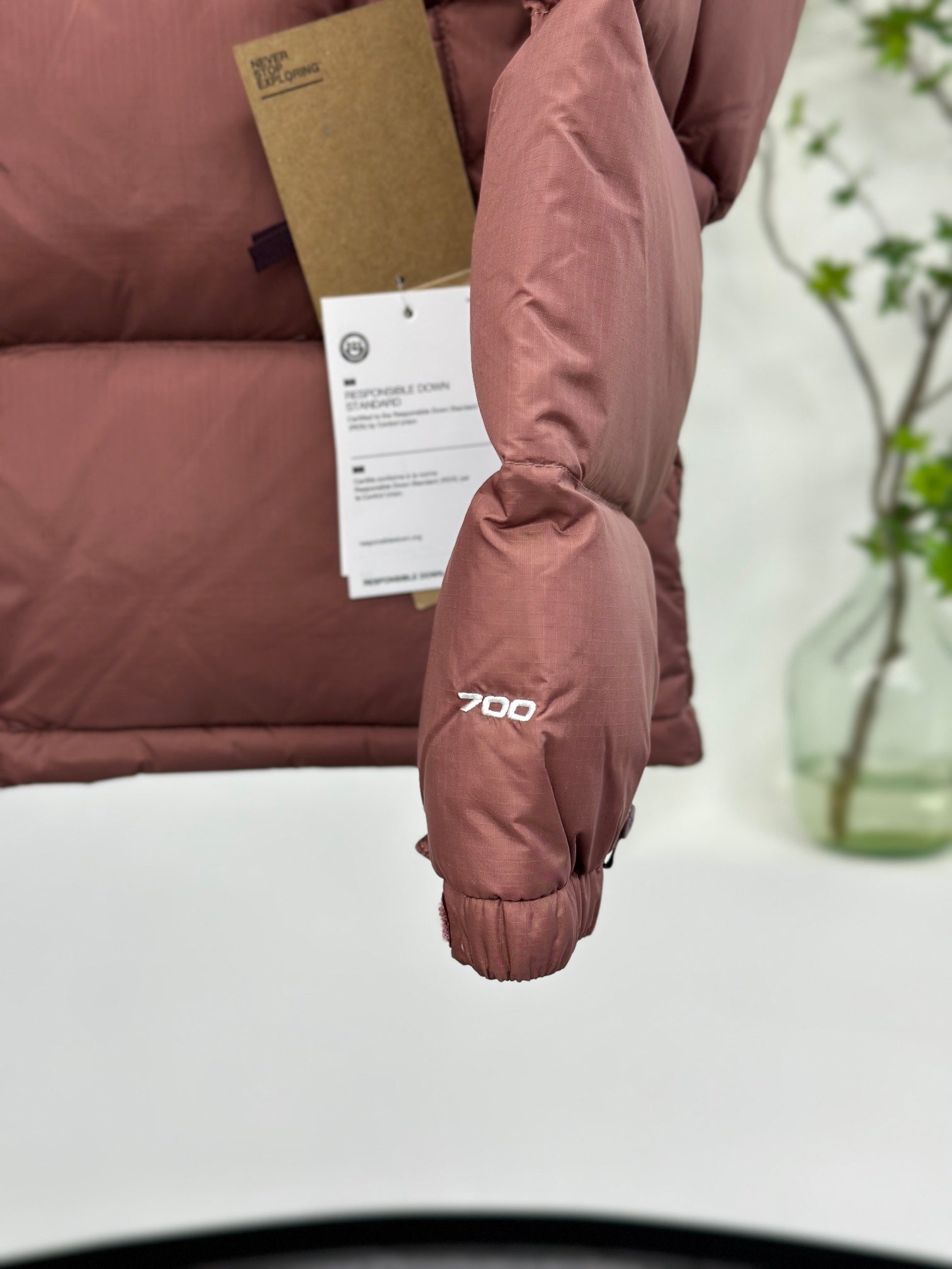 Quispo TNF