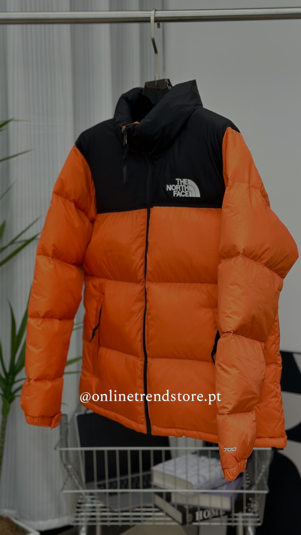 Quispo TNF