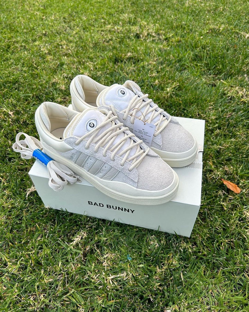 Adidas x Bad Bunny Campus