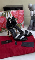 Saltos D&G