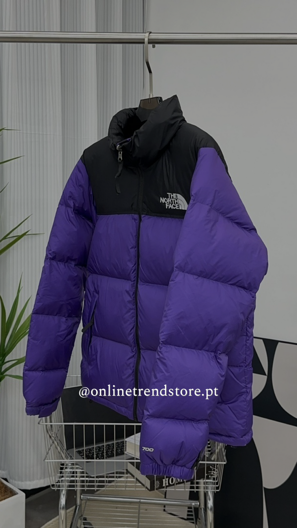 Quispo TNF