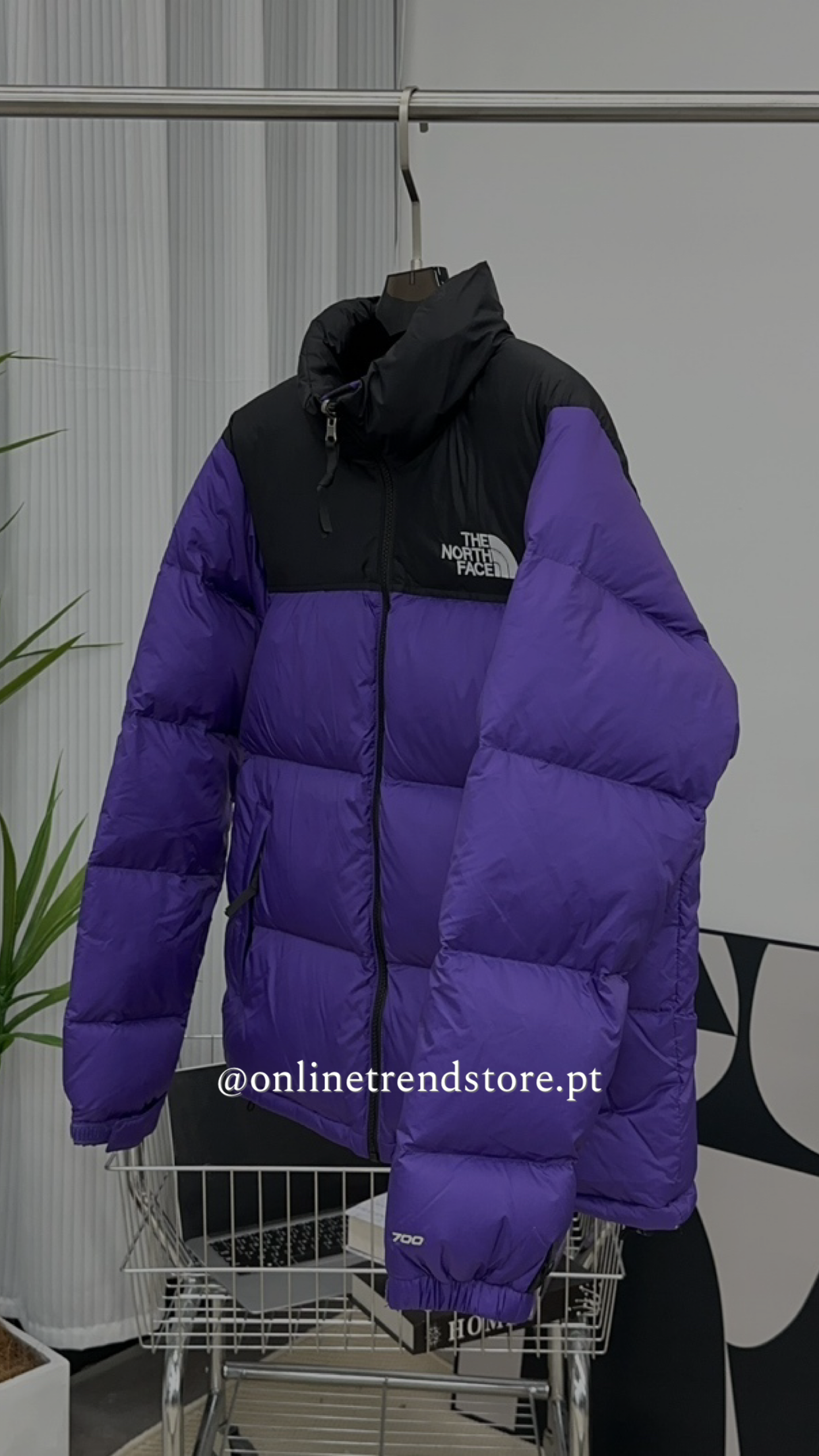 Quispo TNF