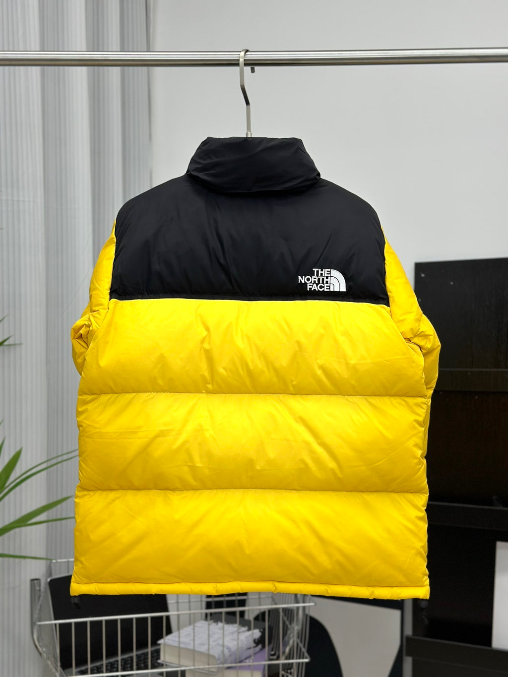 Quispo TNF