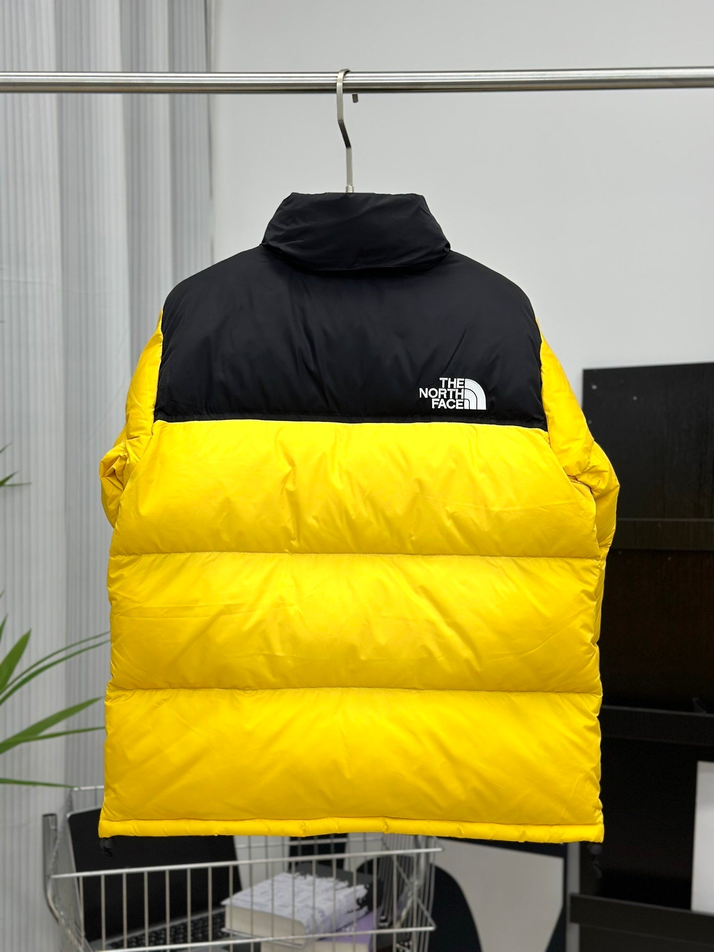 Quispo TNF
