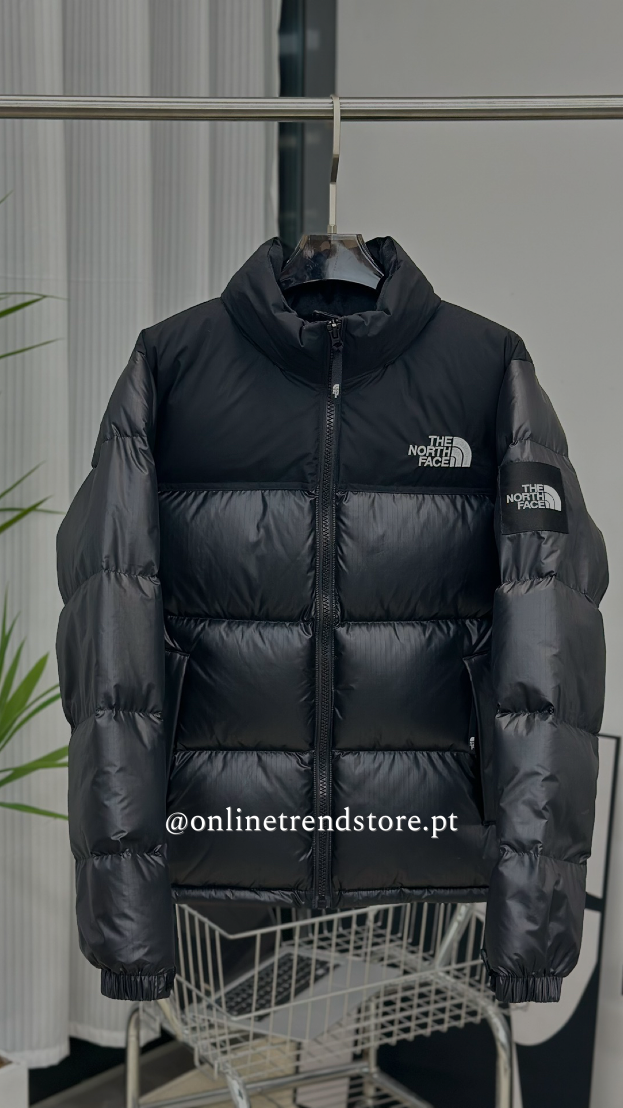 Quispo TNF