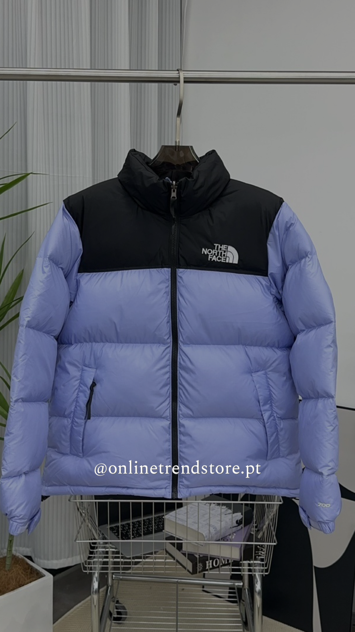 Quispo TNF