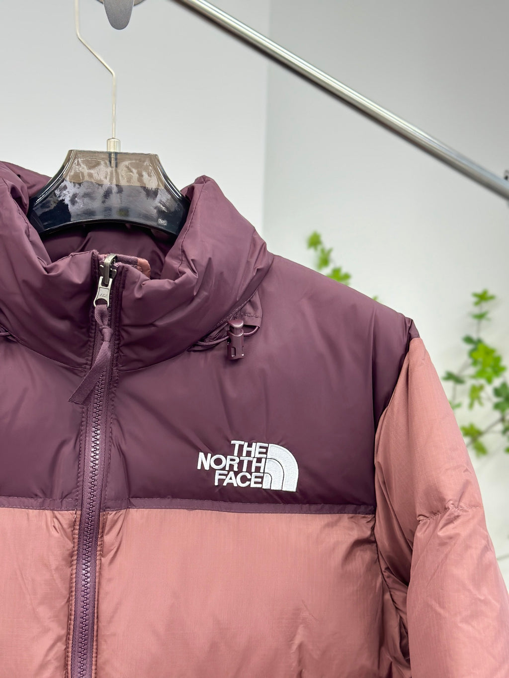 Quispo TNF