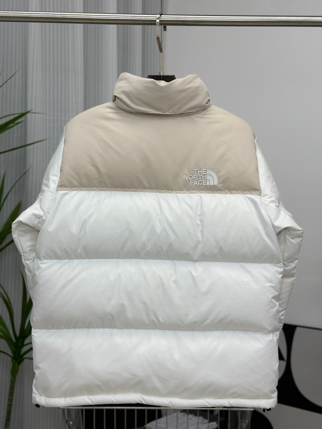 Quispo TNF