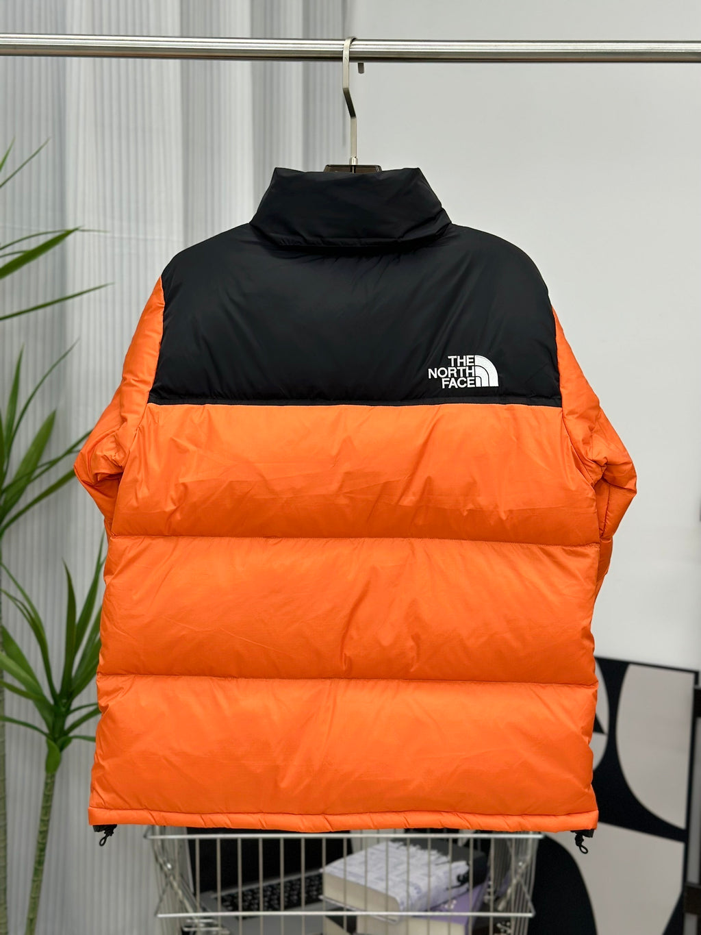 Quispo TNF