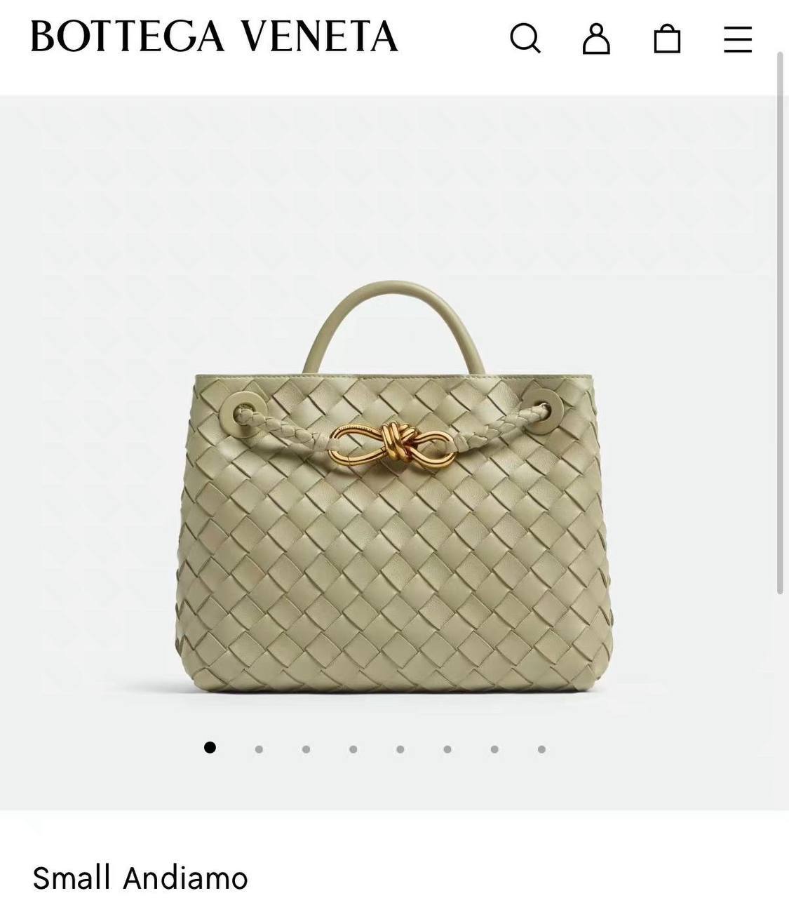 BOTTEGA VENETA