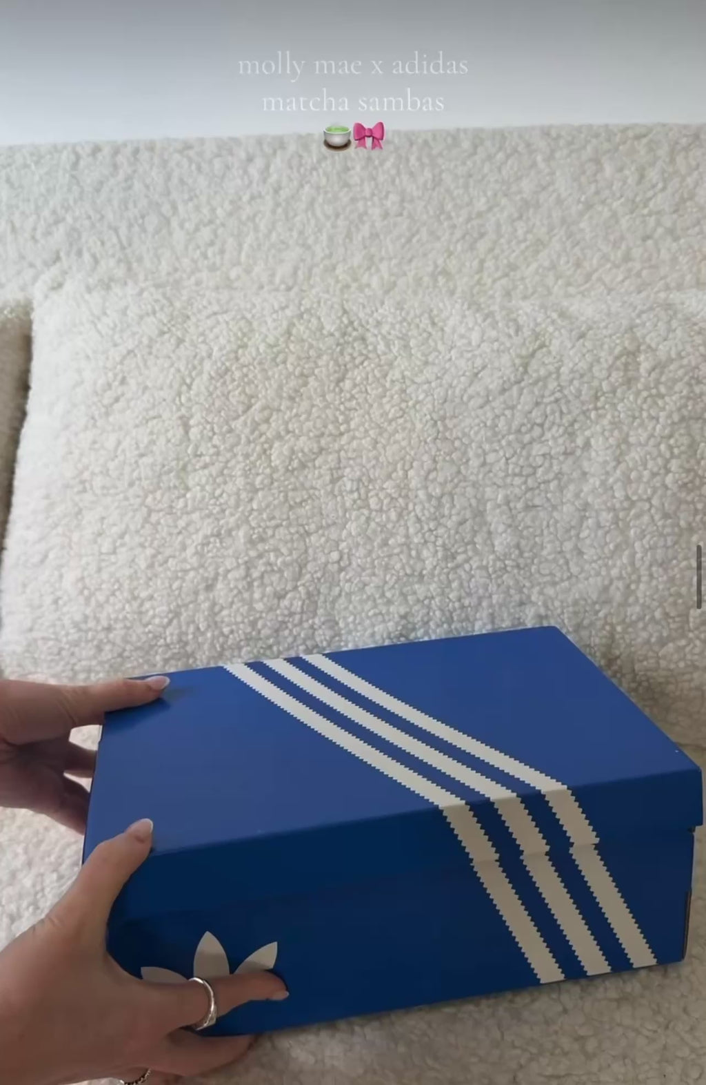 Adidas Samba OG Molly-Mae Matcha